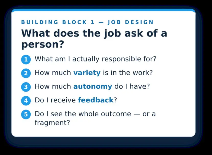 Job design shapes responsibility, autonomy, feedback, variety, and the meaning people can find in their work.